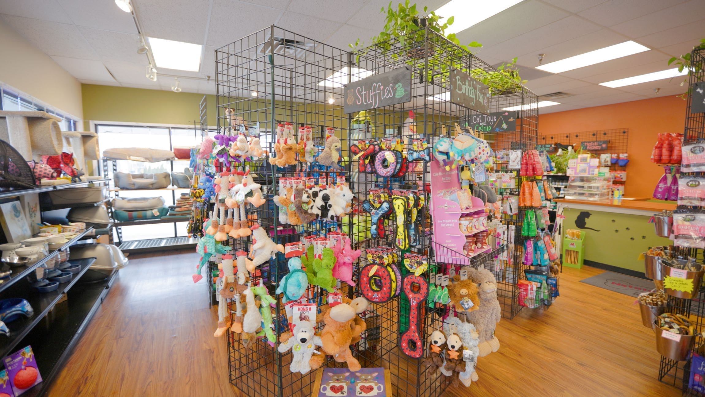 Broll - Gimbal - Interior - Products.00_02_57_10.Still010