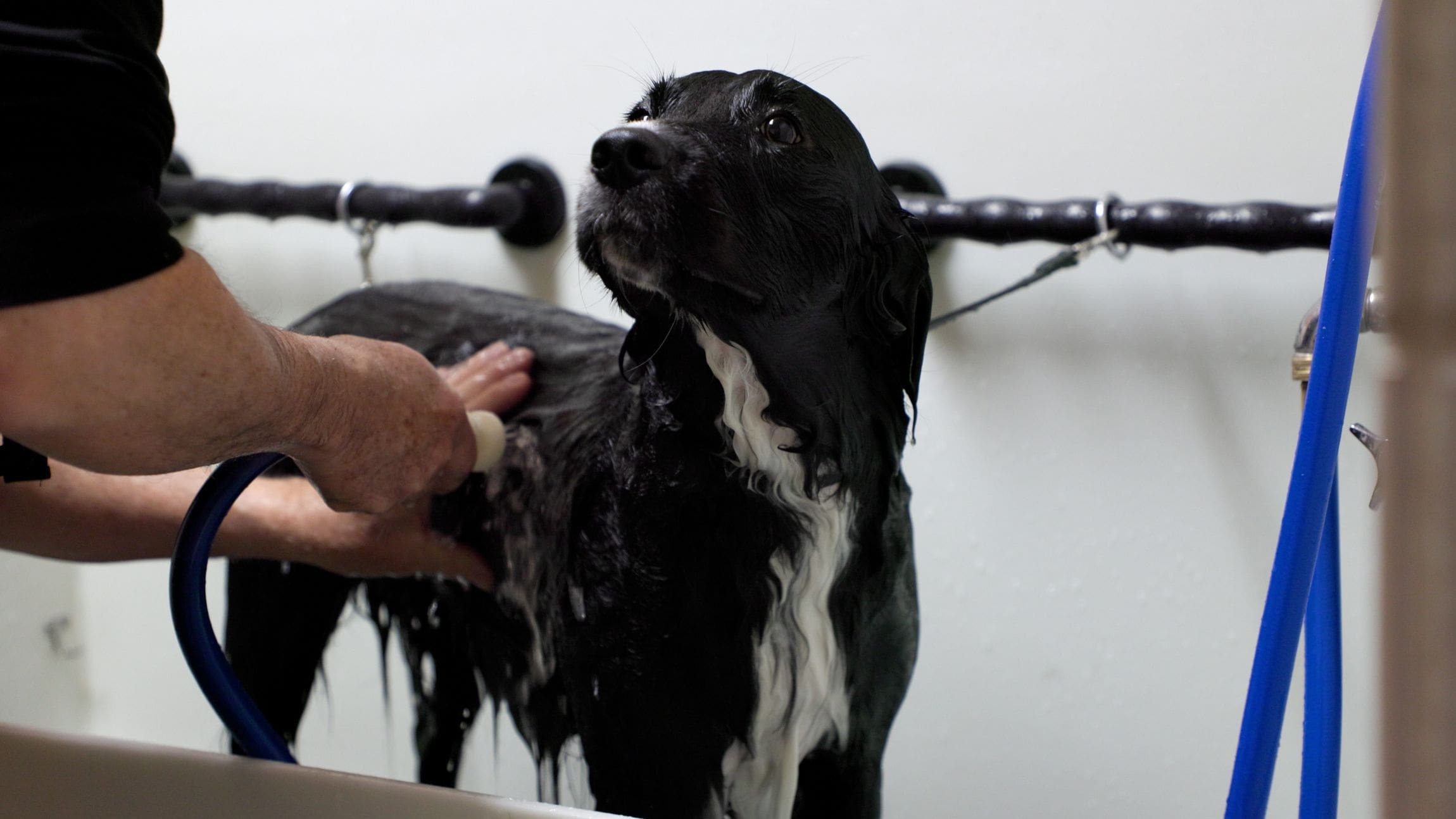 Hero Video - 4K - No Vignette.00_00_32_17.Still001