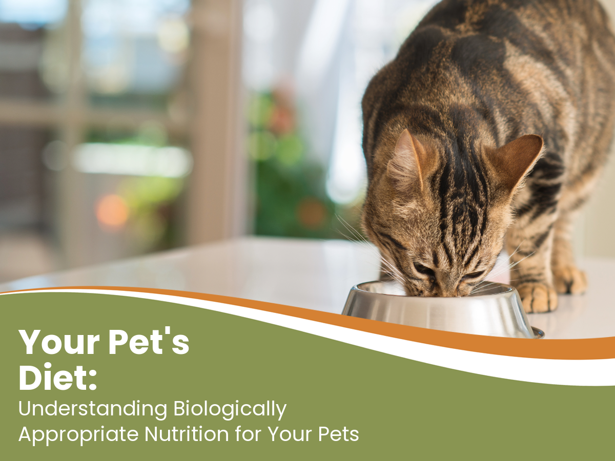 biologically appropriate pet food