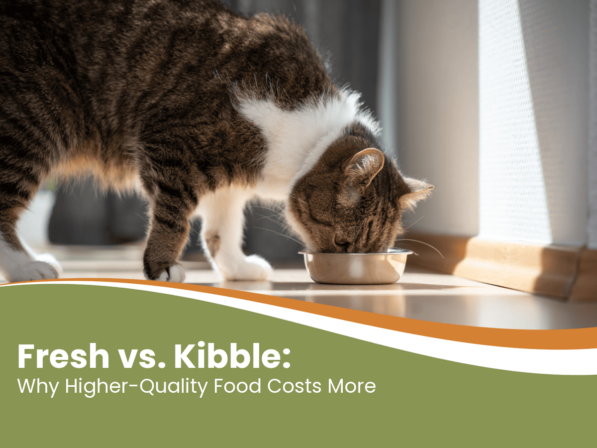 raw pet food worth it