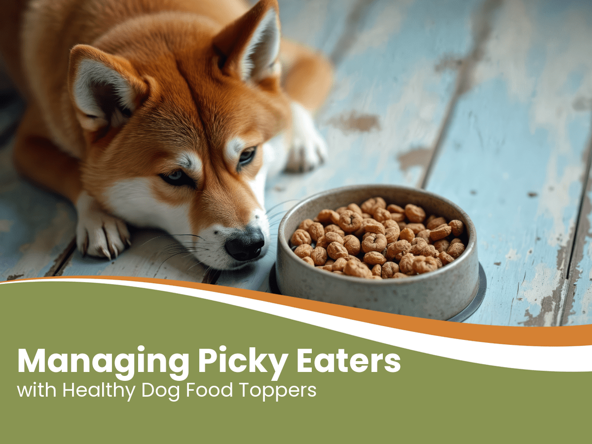Healthy Dog Food Toppers