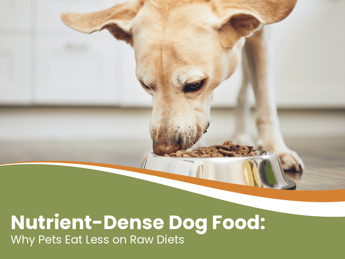 Nutrient-Dense DogFood Benefits