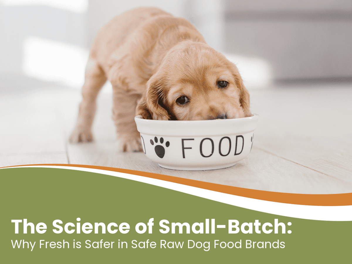 Why Fresh is Safer in Safe Raw Dog Food Brands