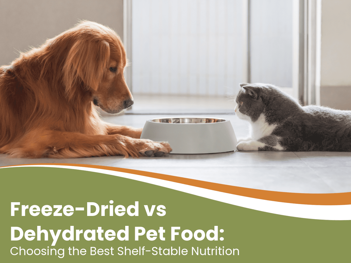 freeze-dried vs dehydrated pet food