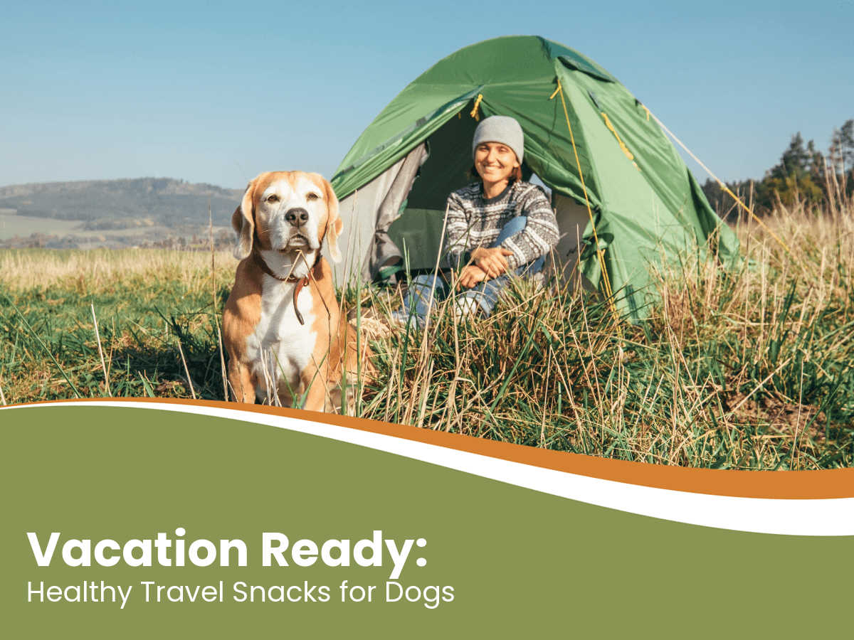 Healthy Travel Snacks for Dogs