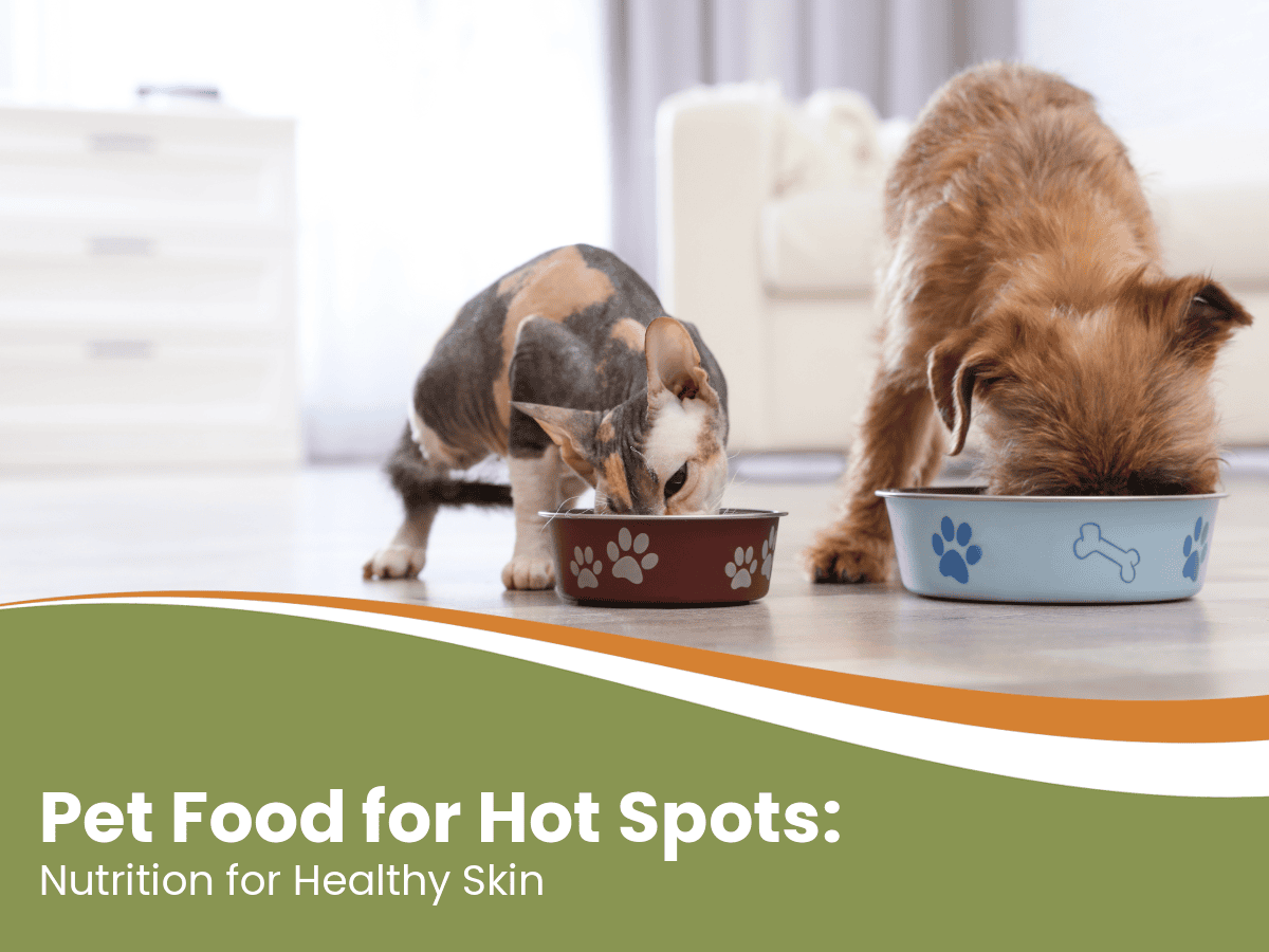 Pet Food for Hot Spots