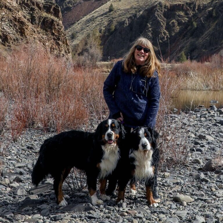 6C52AE1D-E333-4683-9F2B-4BD2629E5FBC_1_201_a