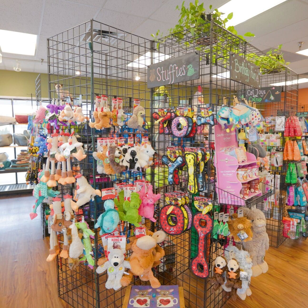 Broll - Gimbal - Interior - Products.00_02_57_10.Still010