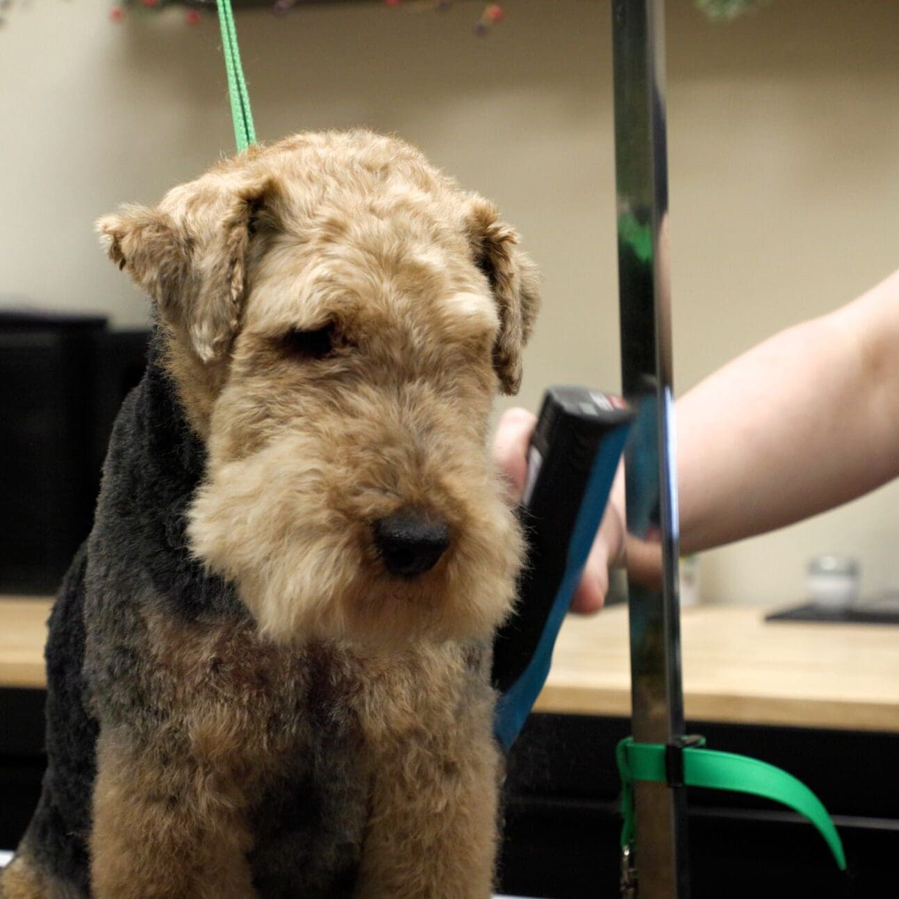 Hero Video - 4K - No Vignette.00_00_41_11.Still012